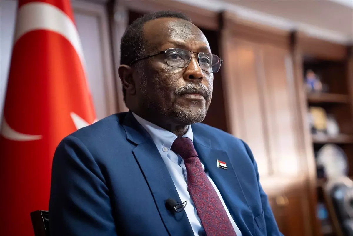 Sudan Büyükelçisi: HDK \'Hayali\' Hükümet
