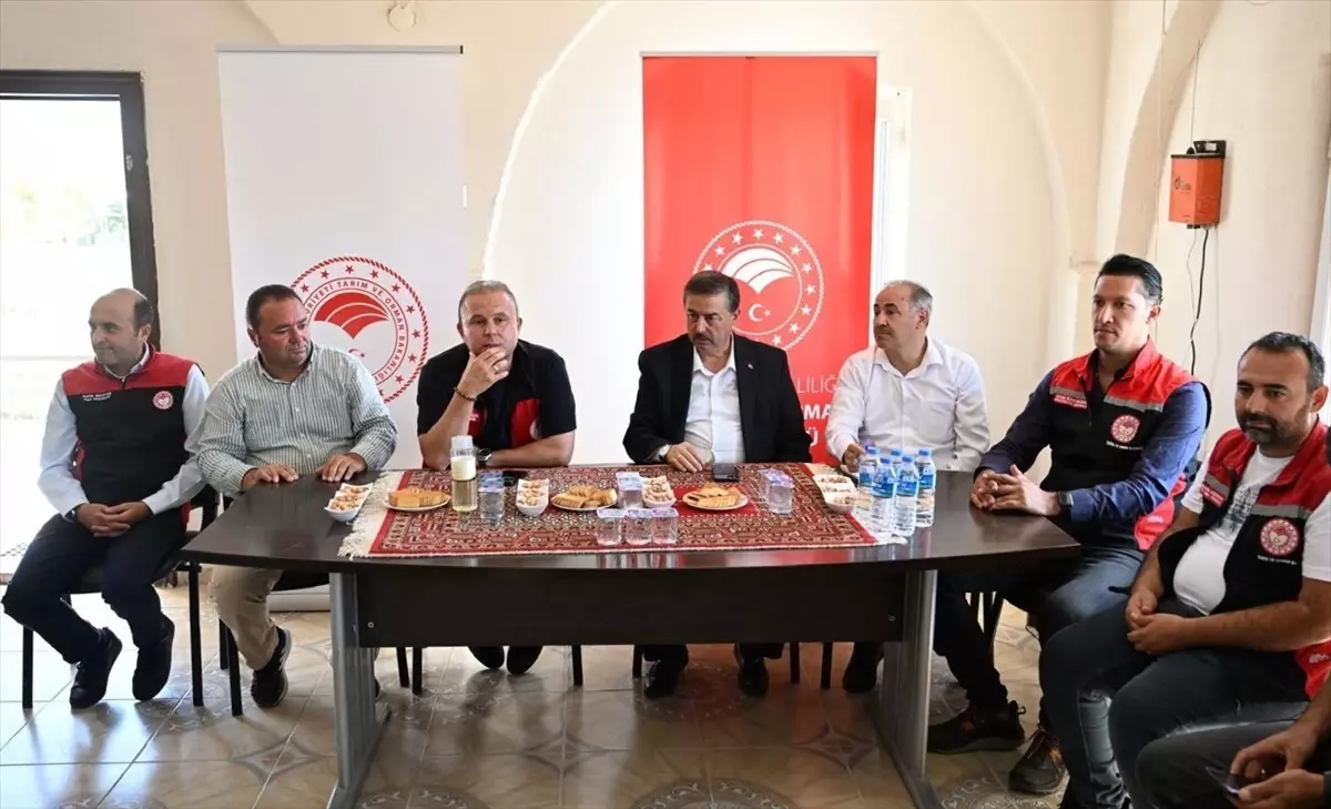 Kayseri\'de Su Tasarrufu İçin Yeni Tarım Modeli