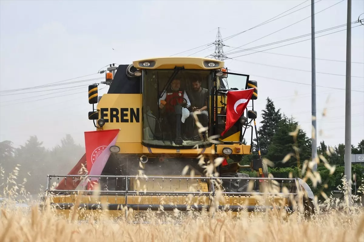 Batman’a 8 Milyar Liralık Destek