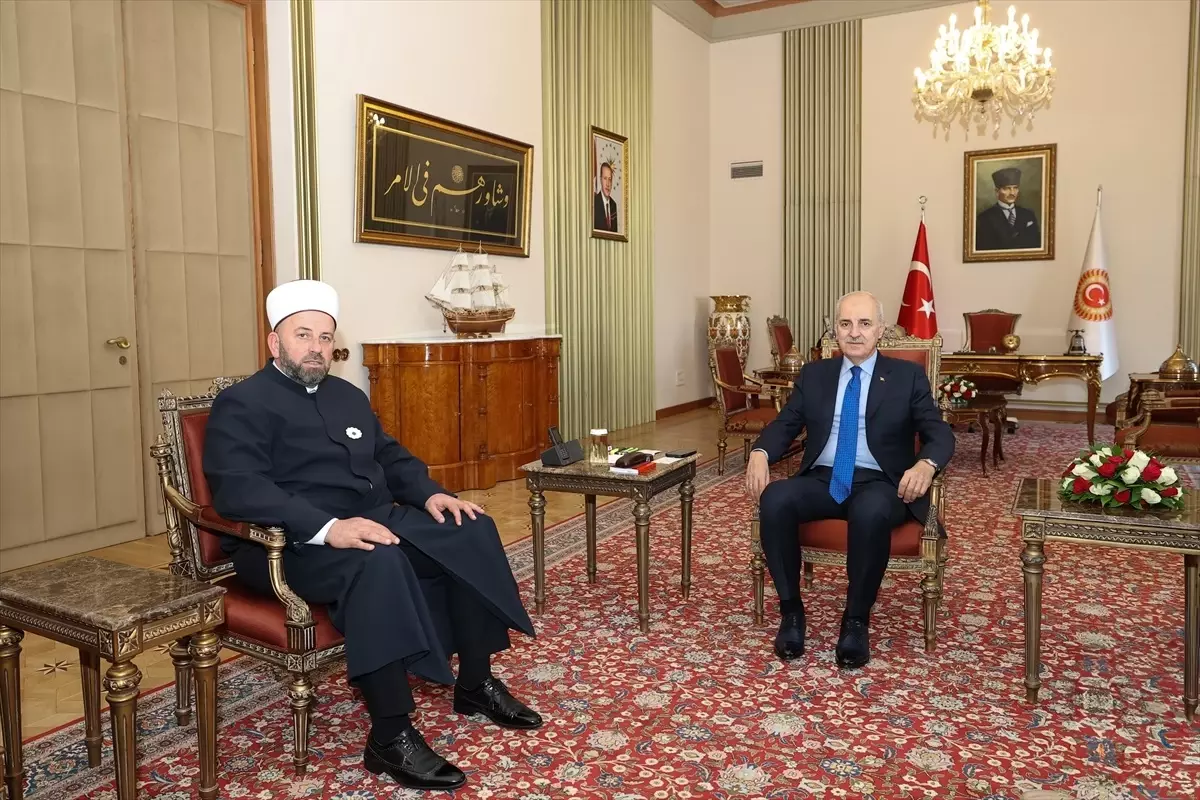 Kurtulmuş, Fejzic ile Görüştü