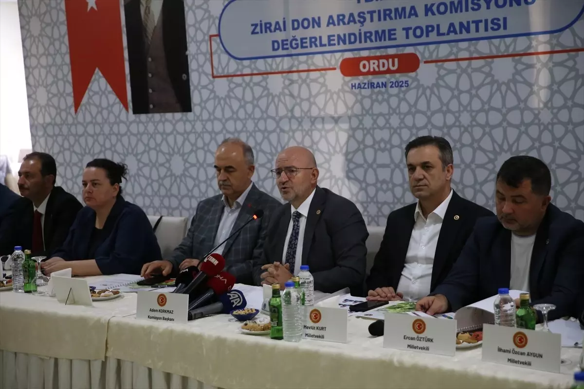 Zirai Don Araştırma Komisyonu Fındık Hasarını İnceledi