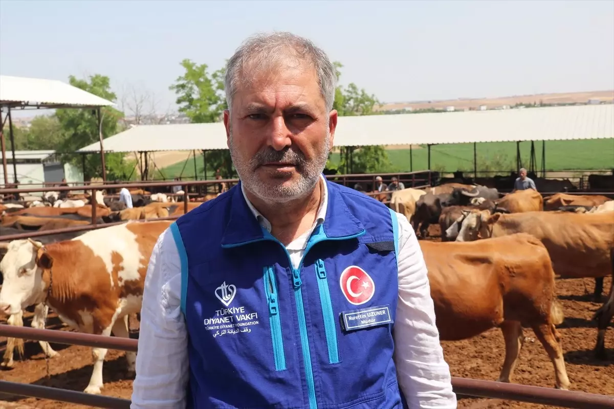 TDV\'den İhtiyaç Sahiplerine Kurban Eti Dağıtımı