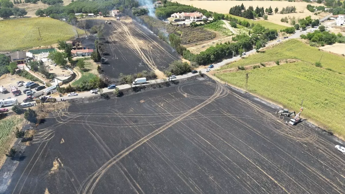 Tekirdağ\'da Yangın: Buğday Tarlası ve Evler Zarar Gördü