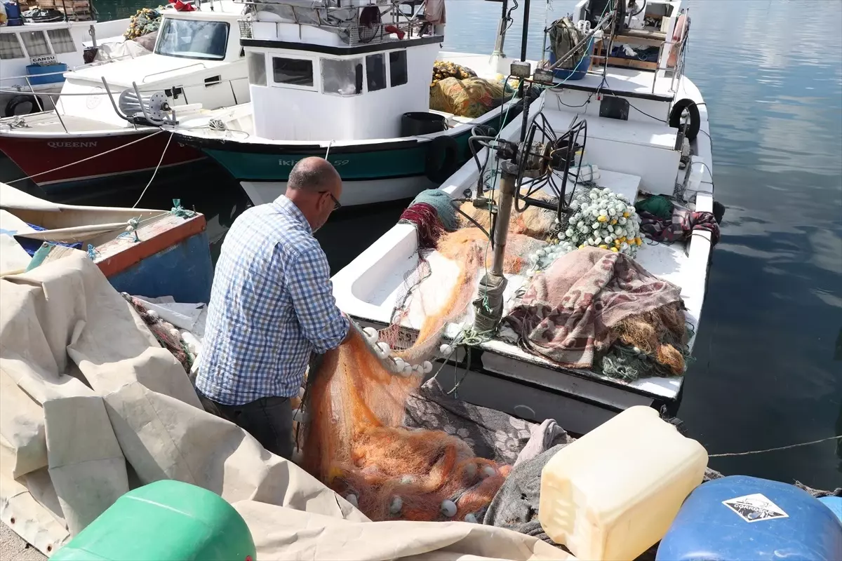 Tekirdağlı Balıkçılar İstavritle Gülümseiyor