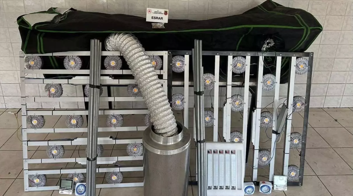 Tekirdağ\'da Hint Keneviri Yetiştiren 3 Şüpheli Yakalandı