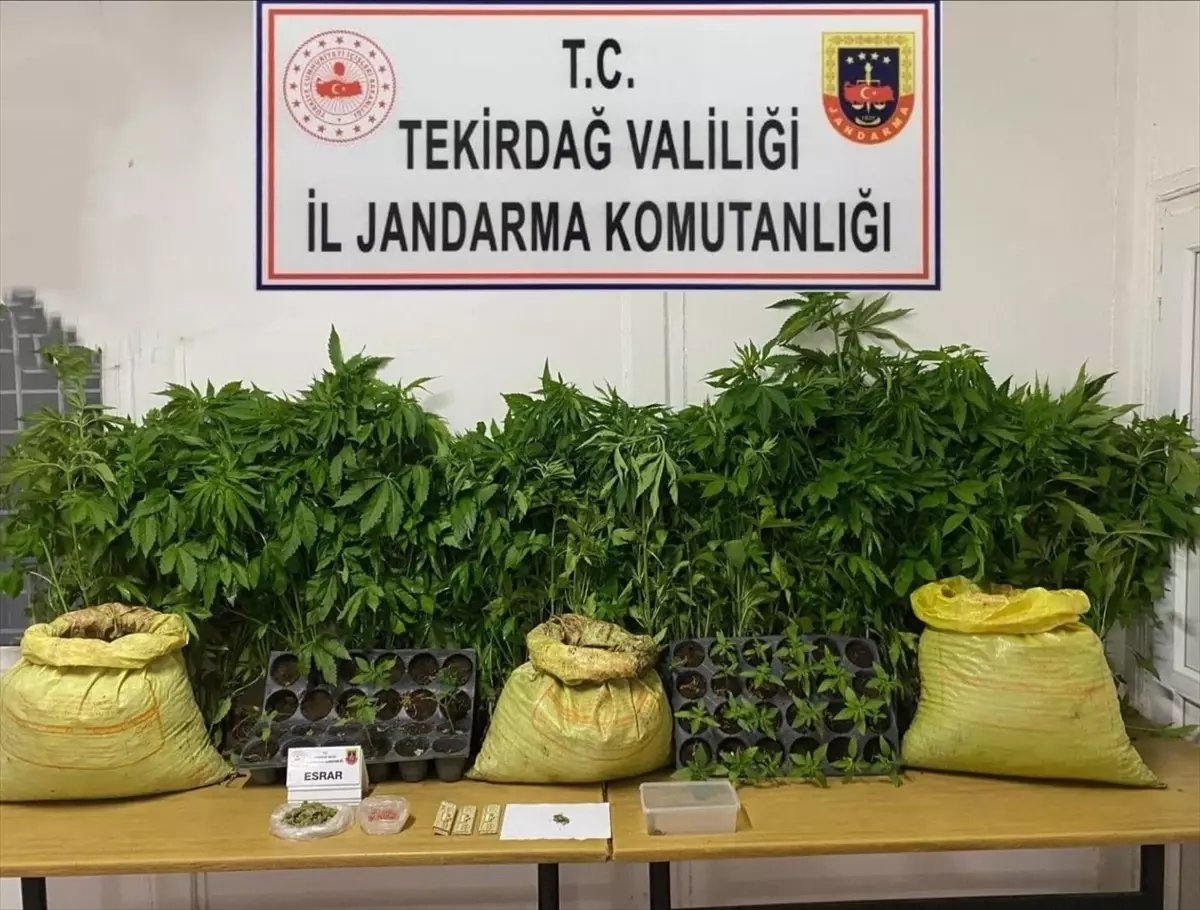 Tekirdağ\'da Uyuşturucu Operasyonu: 7 Gözaltı