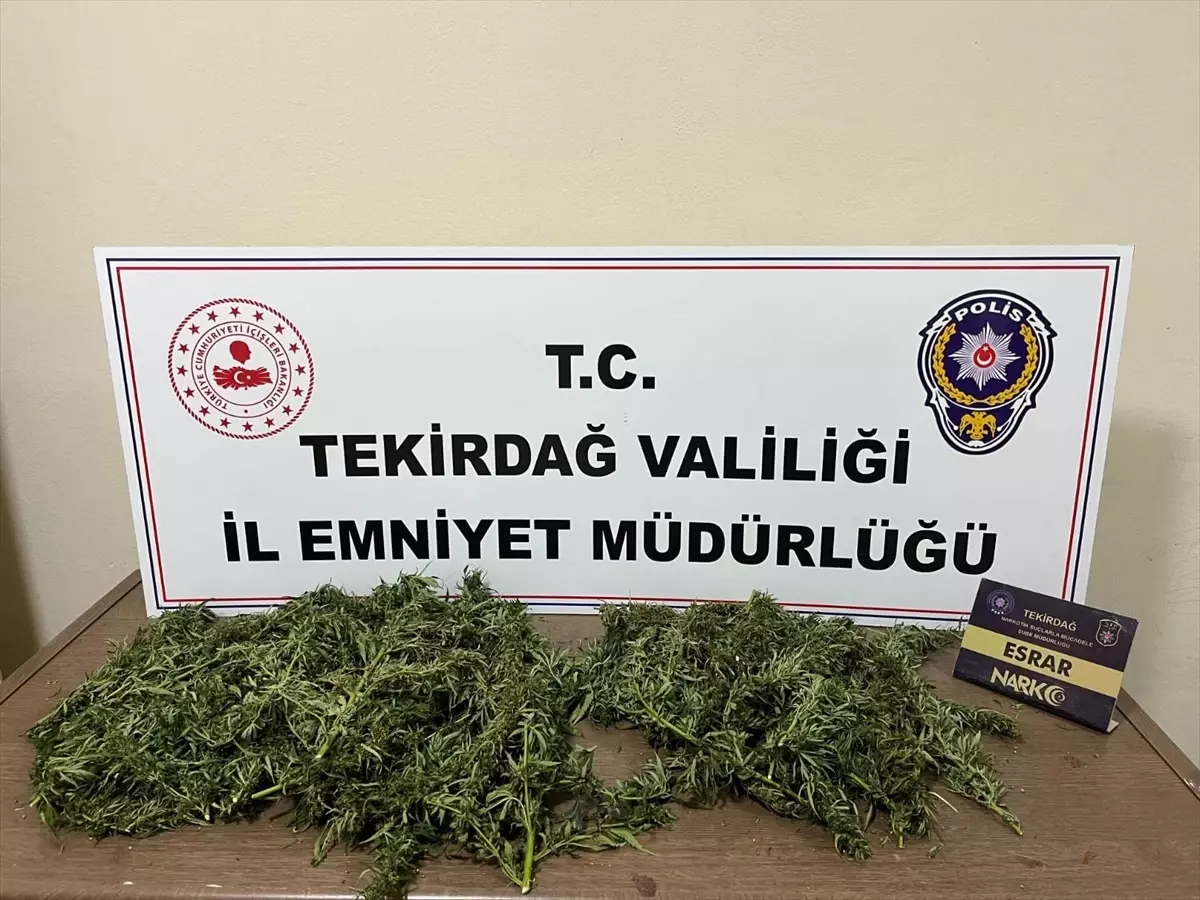 Tekirdağ\'da Uyuşturucu Operasyonu