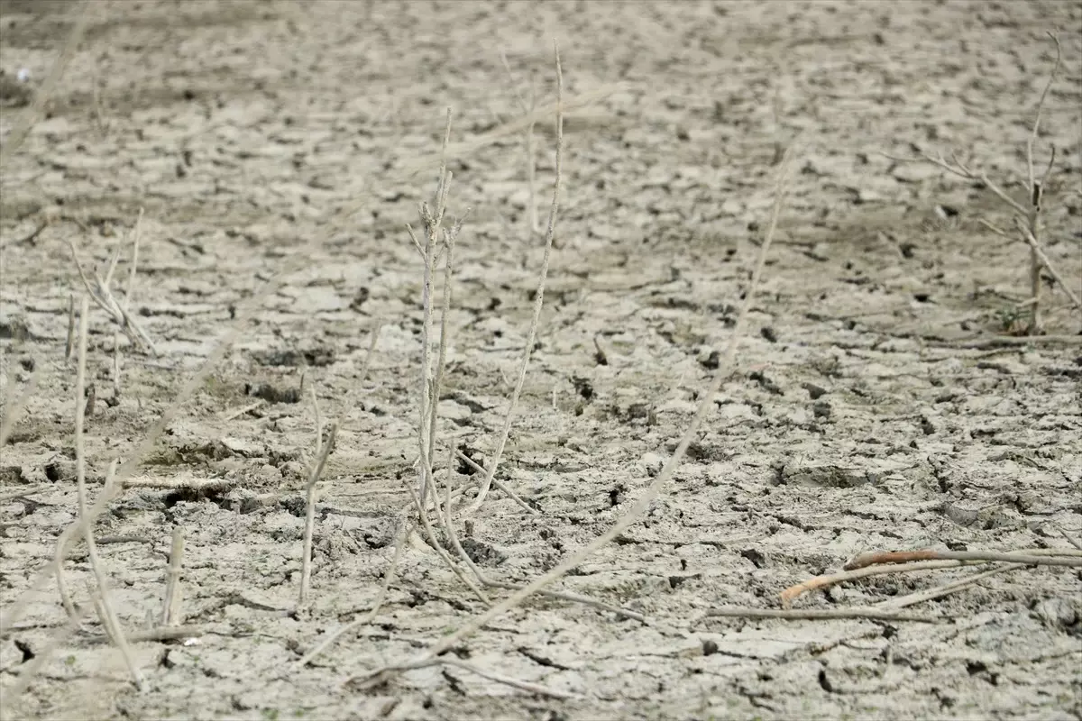 Bıyıkali Göleti\'nde Kuraklık Sorunu