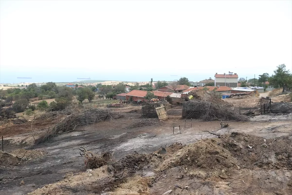 Şarköy\'de Orman Yangını: Besiciler Zarar Gördü