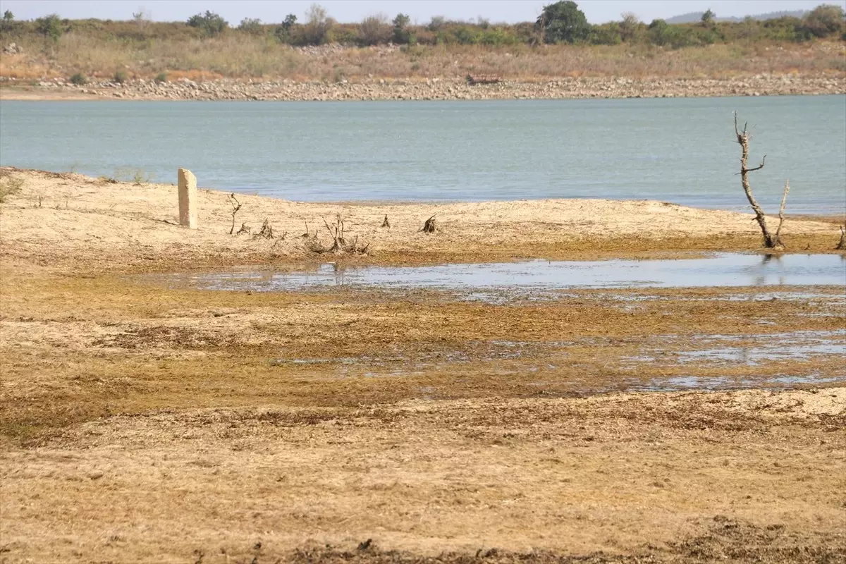 Tekirdağ\'da Yazır Göleti Kurudu