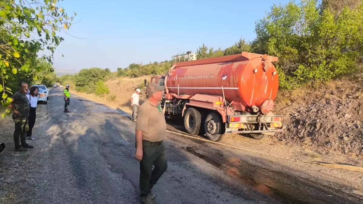 Zile\'de Orman Yangını Kontrol Altında