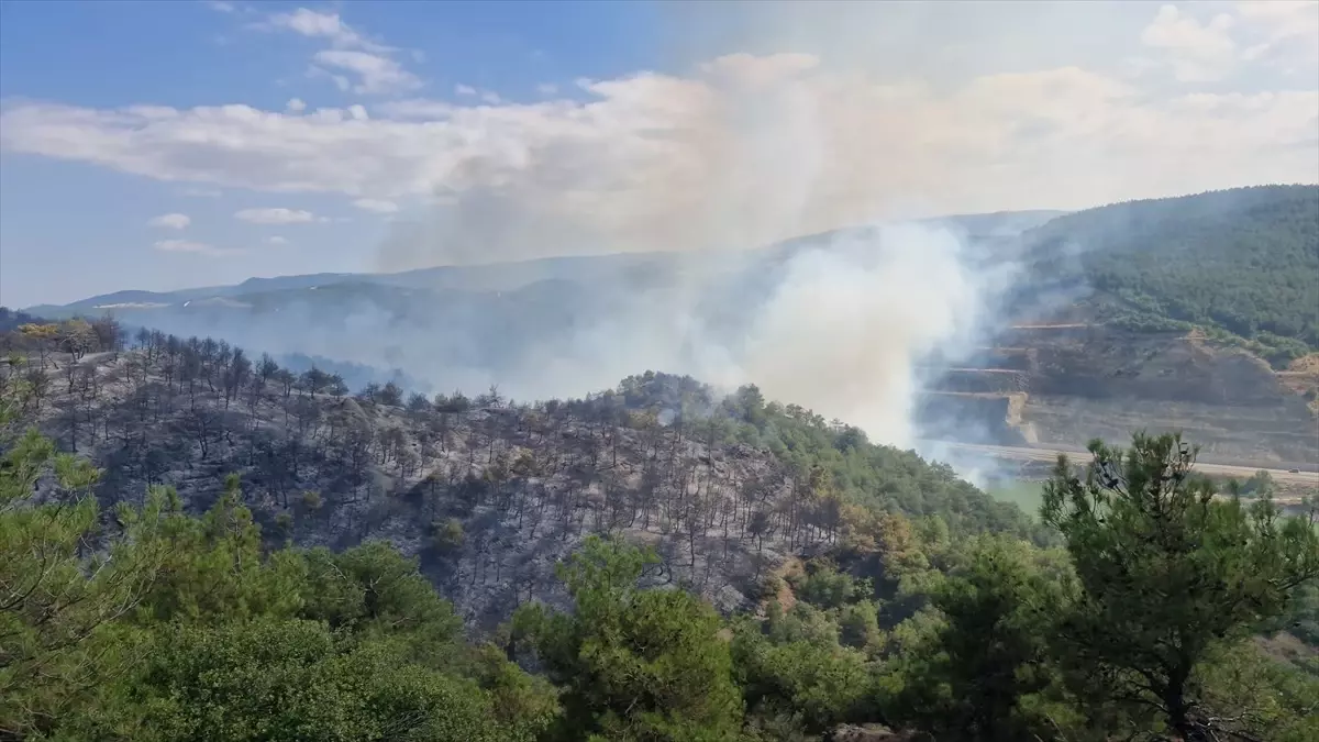 Tokat\'ta Orman Yangını Kontrol Altına Alındı