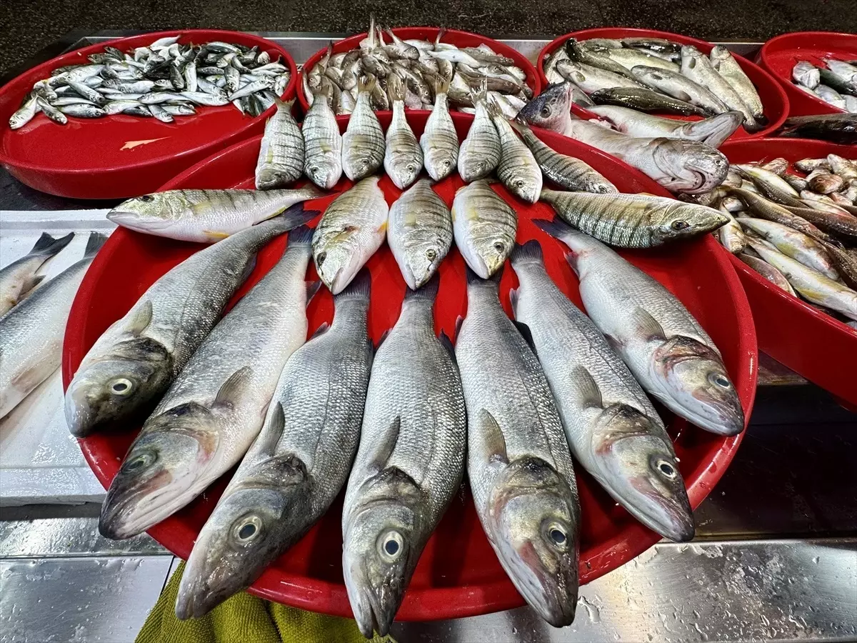 Trabzon\'da Balık Bolluğu Esnafı Sevindirdi
