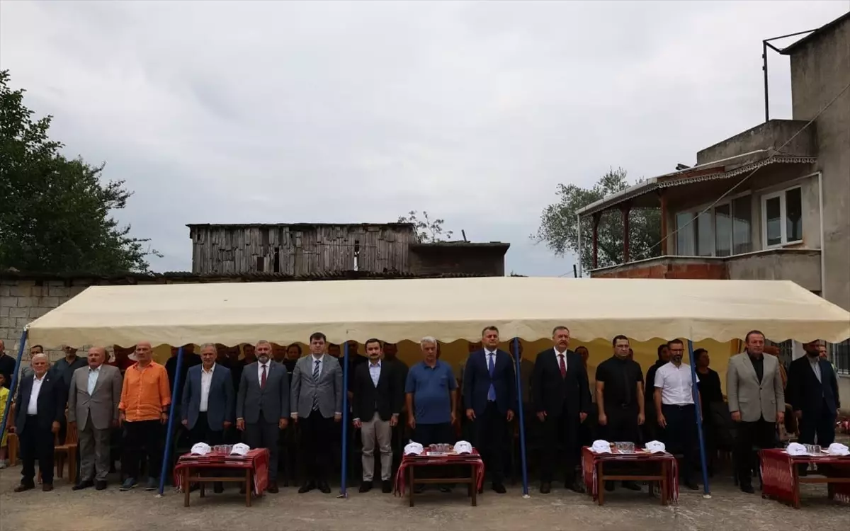 Arsin Foşa Fındığı Hasadı Töreni