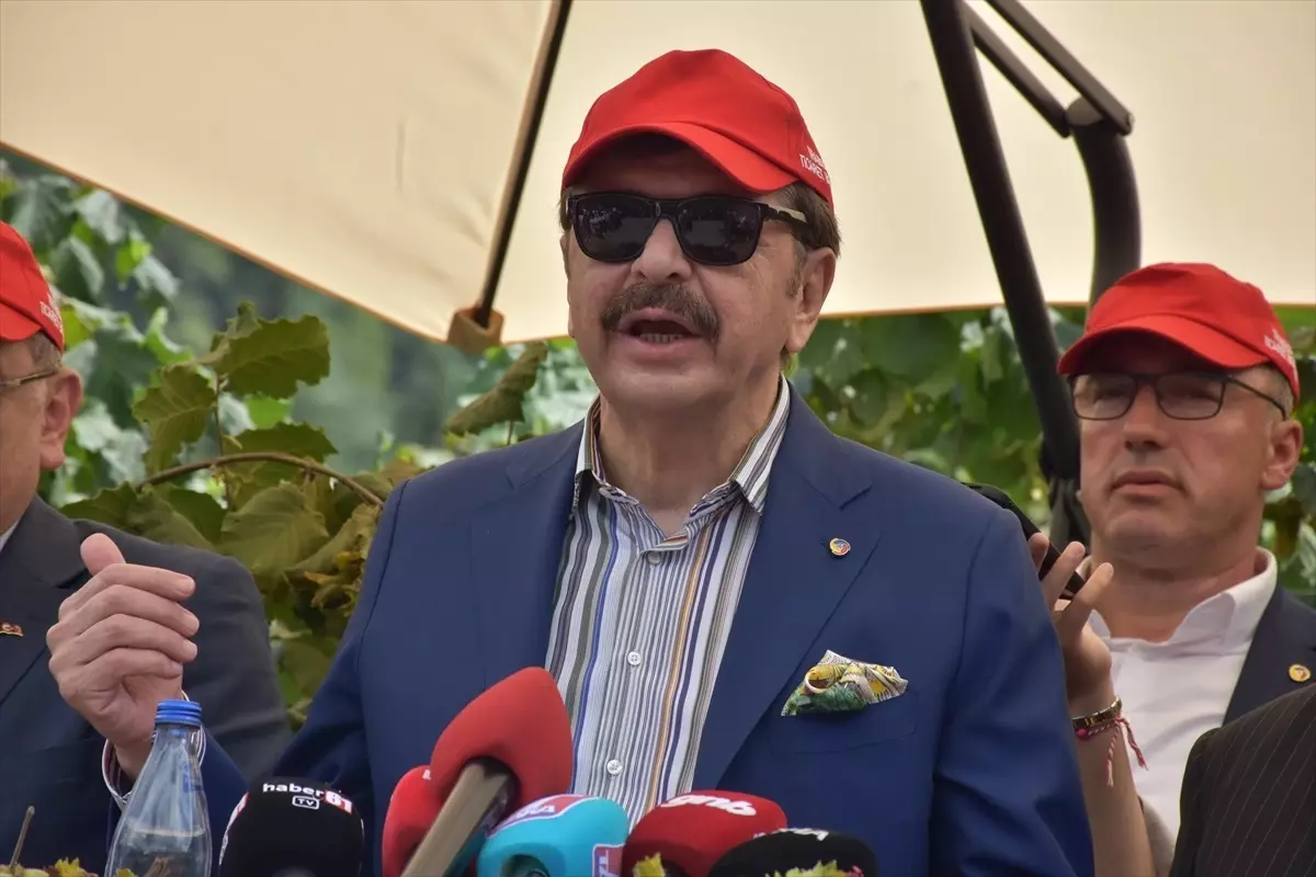 Dünya Fındık Haftası Trabzon\'da Kutlandı