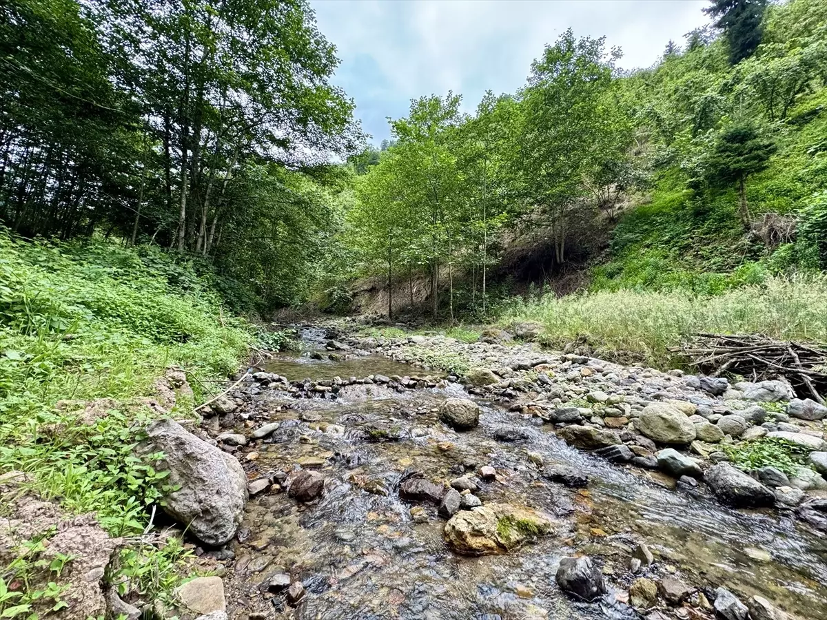 Yomra\'da Kazan Gölü Kanyonu Turizme Kazandırılacak