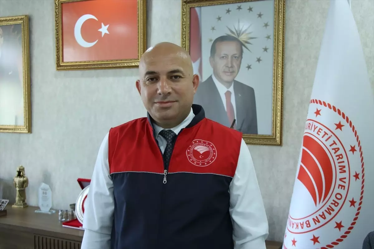 Edirne, Kırklareli ve Tekirdağ\'da Yangınlar Tarımı Vurdu