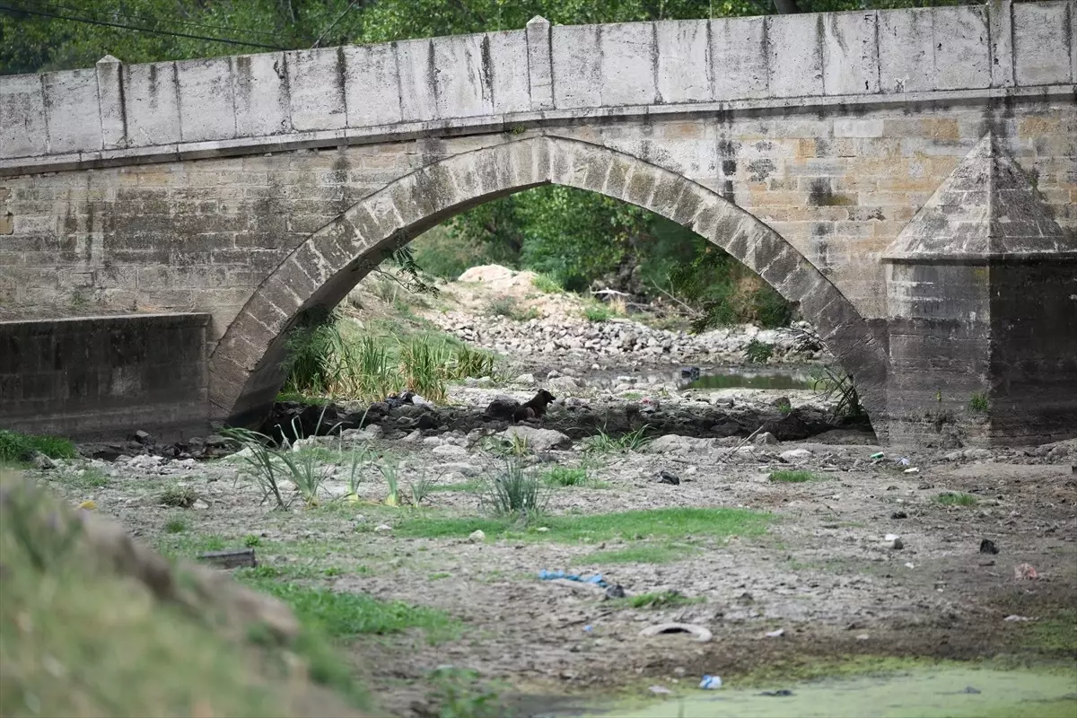 Edirne\'de Tunca Nehri Kurudu