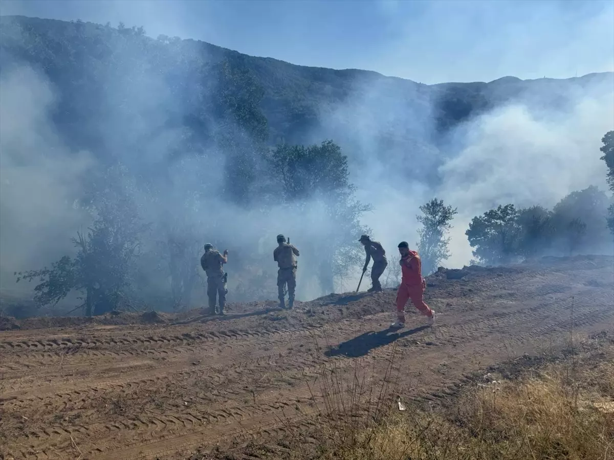Tunceli\'de Orman Yangını Kontrol Altına Alındı
