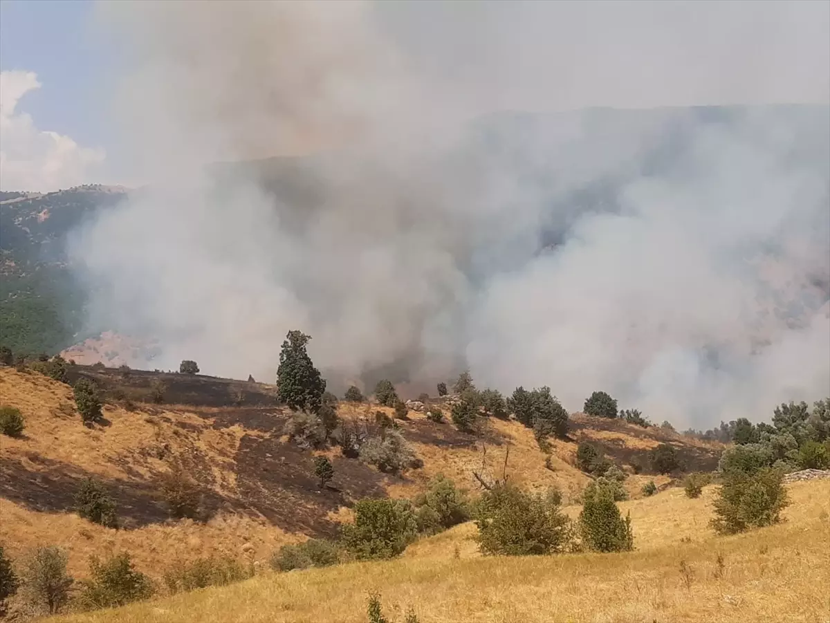 Hozat\'ta Orman Yangınına Müdahale