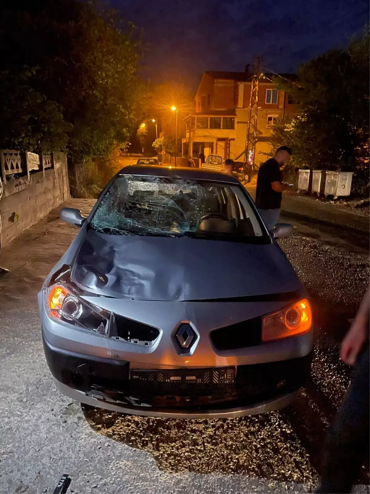 Otomobilin Çarptığı İnek Telef Oldu