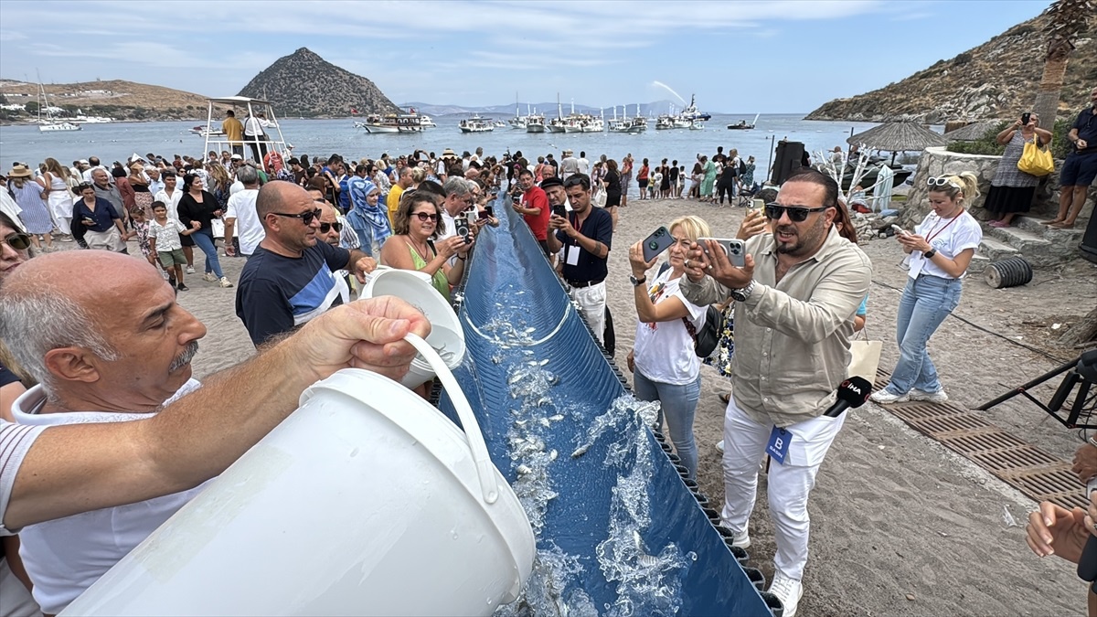 Bodrum\'da Renkli Balık Festivali