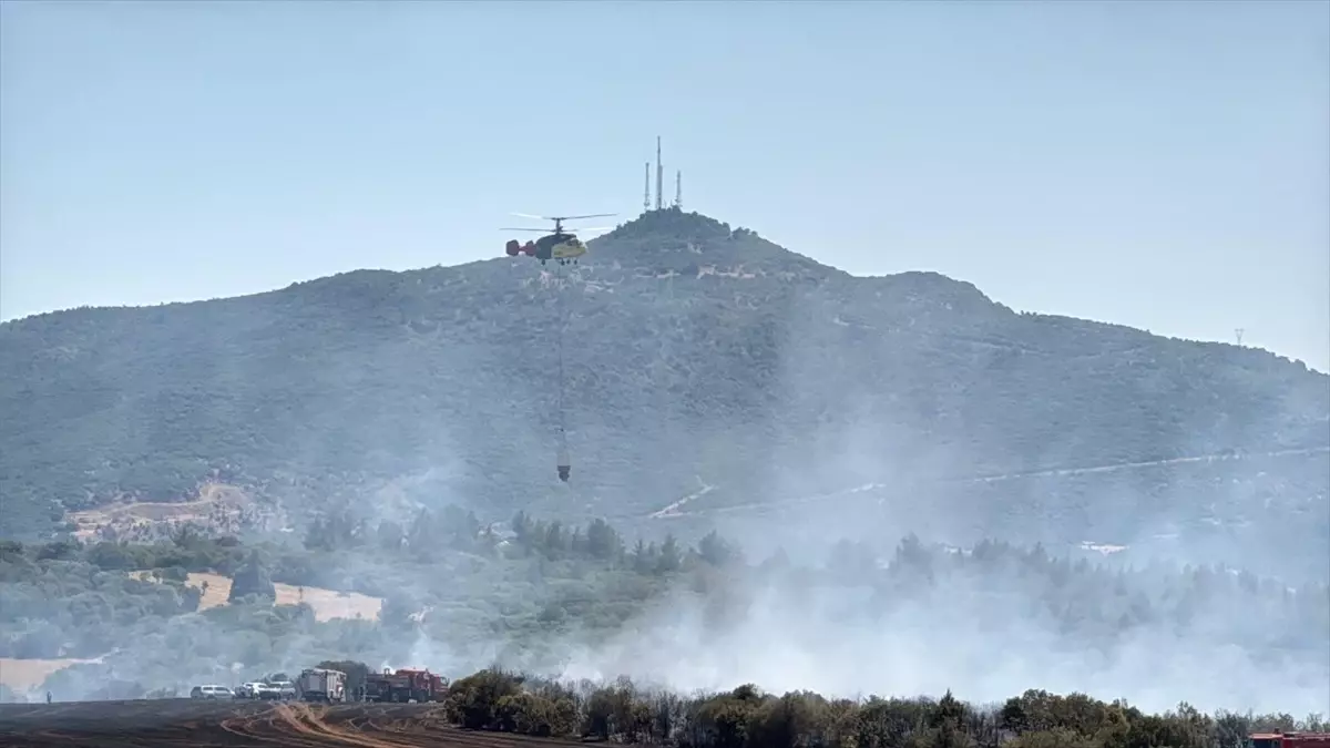 Uşak\'ta Tarla Yangını