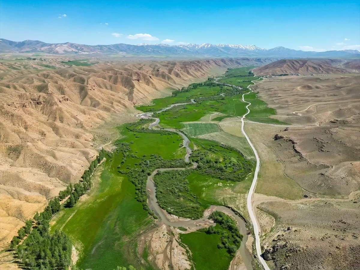 Gürpınar Menderesleri Bahar Renklerine Büründü