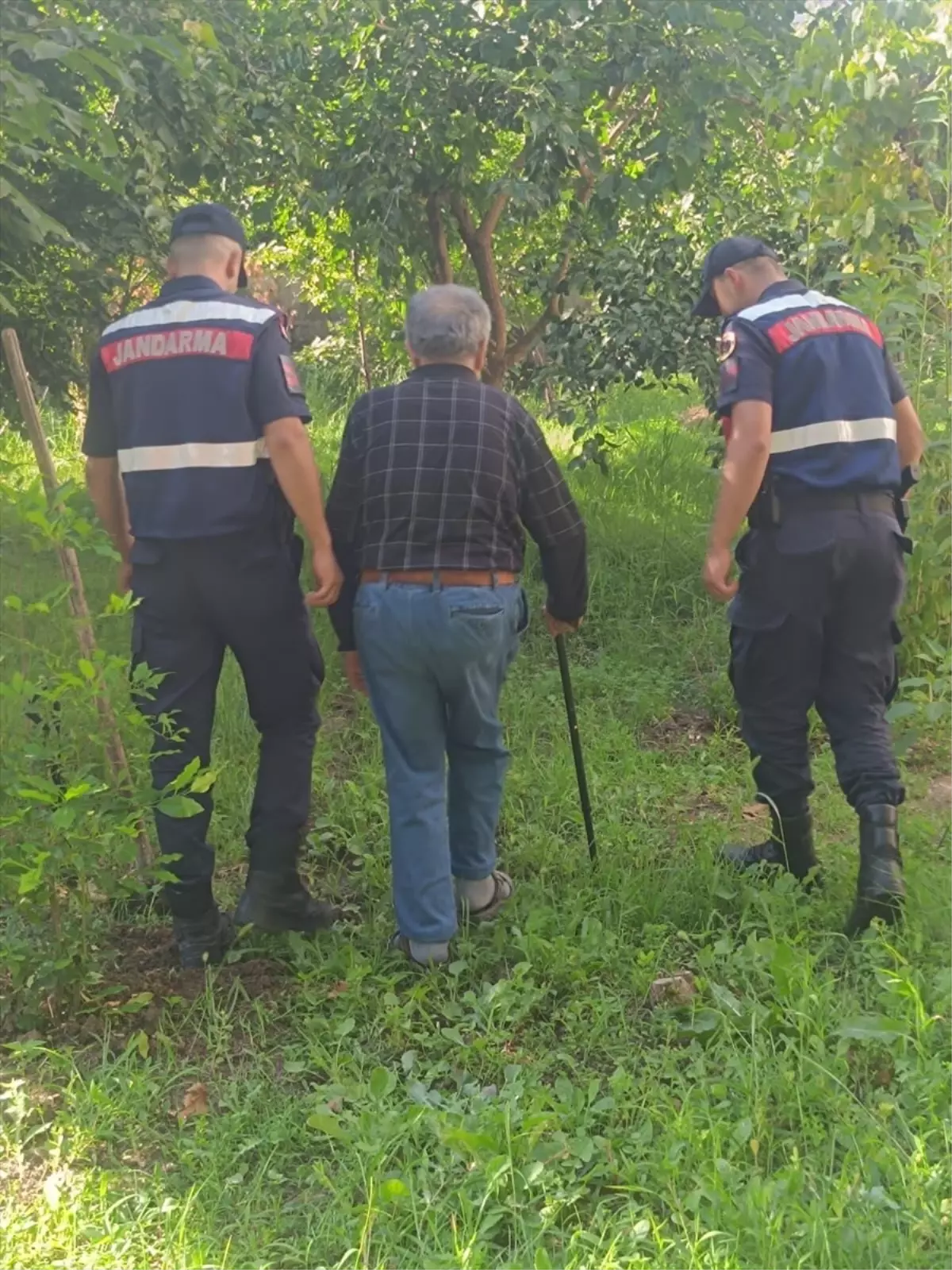 Alzheimer Hastası Yaşlı Adam Ormanda Bulundu