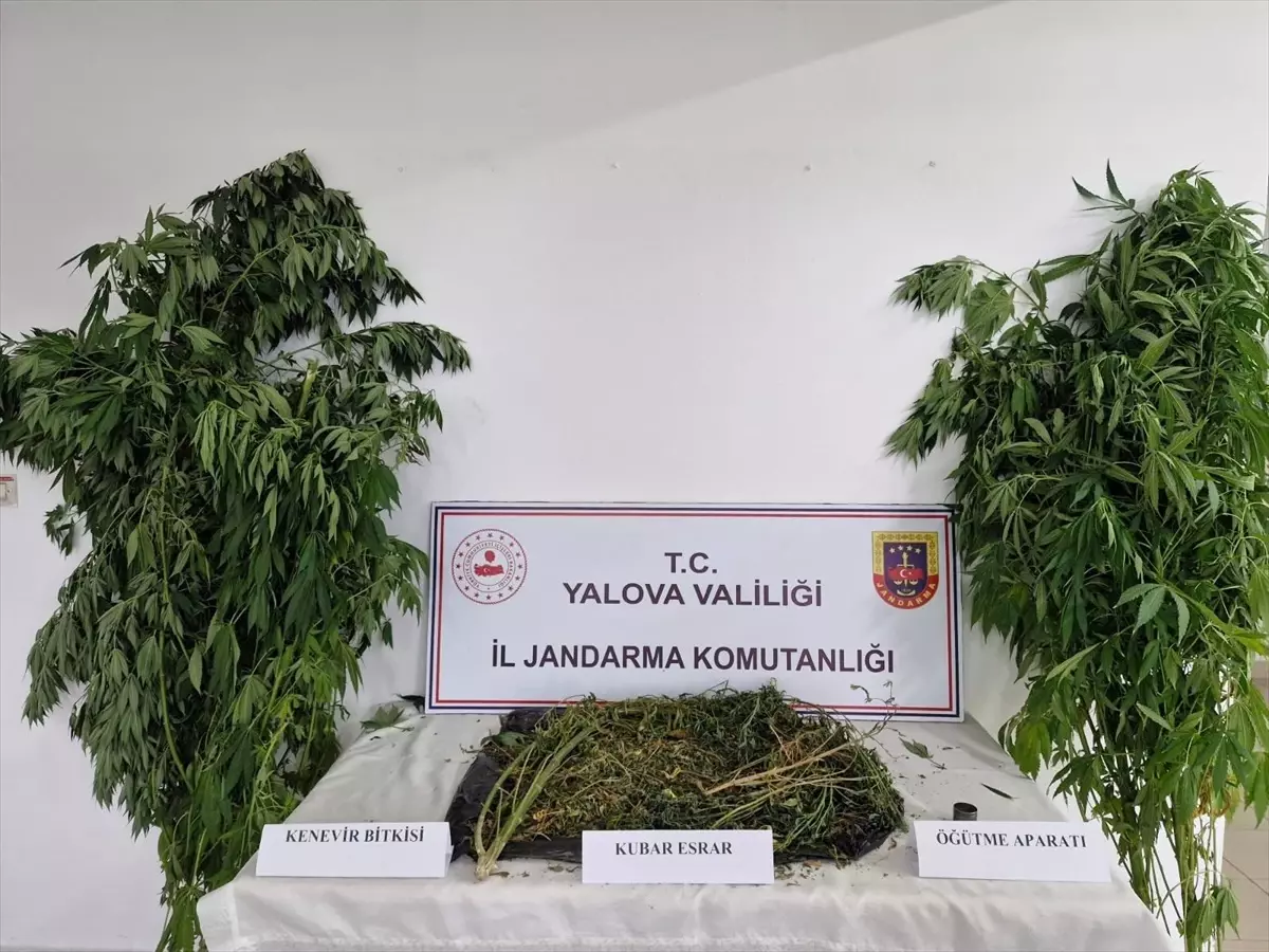 Yalova\'da Uyuşturucu Operasyonu: 2 Tutuklama