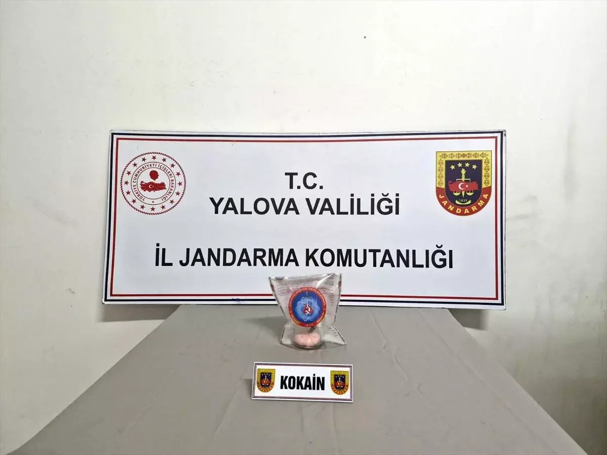 Yalova\'da Uyuşturucu Operasyonu: 2 Tutuklama