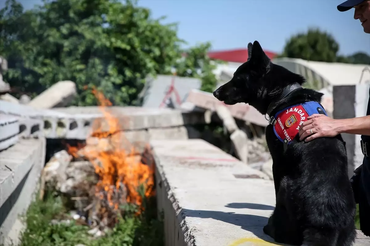Bronz: Jandarmanın Yangın Tespit Kahramanı
