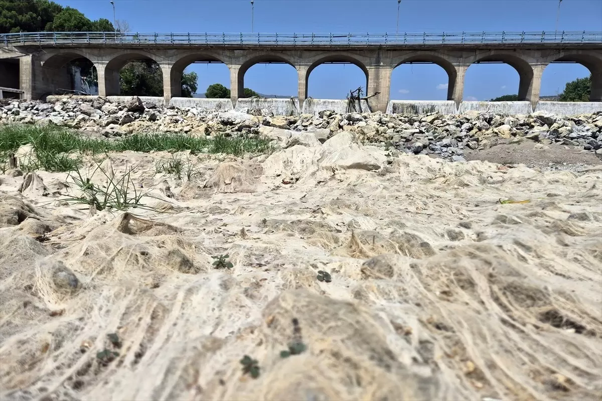 Gediz Nehri Kuruyor, Susuzluk Tehdidi Artıyor