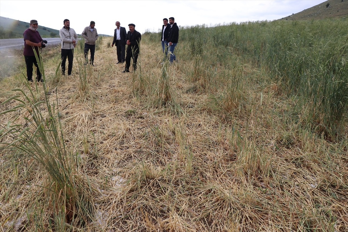 Yozgat\'ta Dolu Felaketi