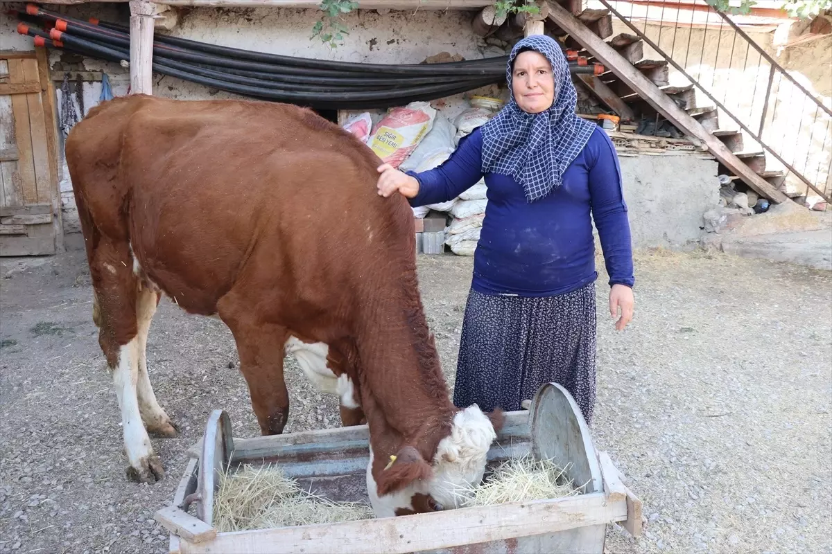 Hayvancılıkla Ekonomik Kalkınma