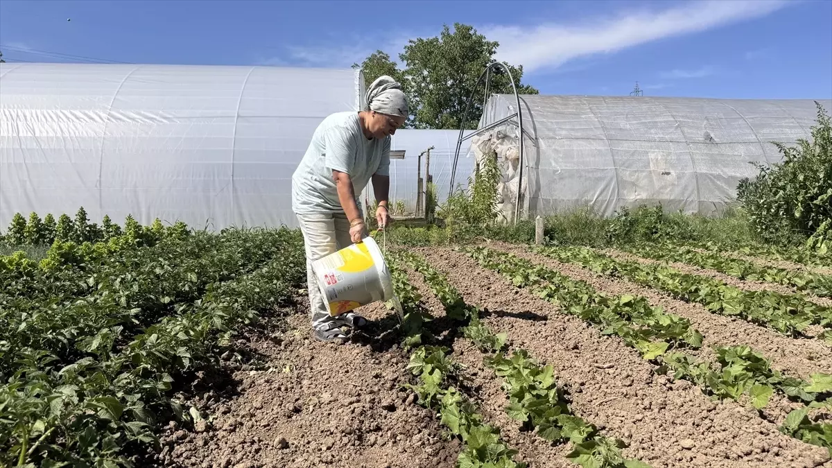 Zonguldak\'ta Tarım Projesiyle 20 Milyon TL Katkı