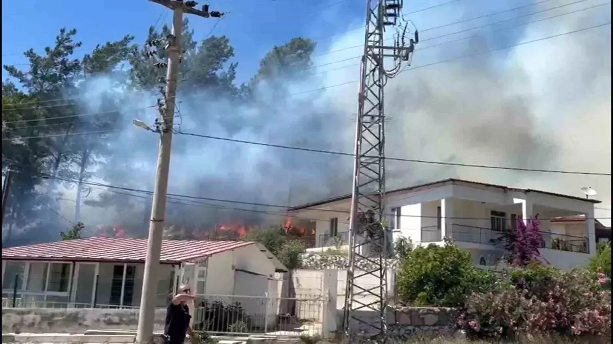 Marmaris\'te Orman Yangını