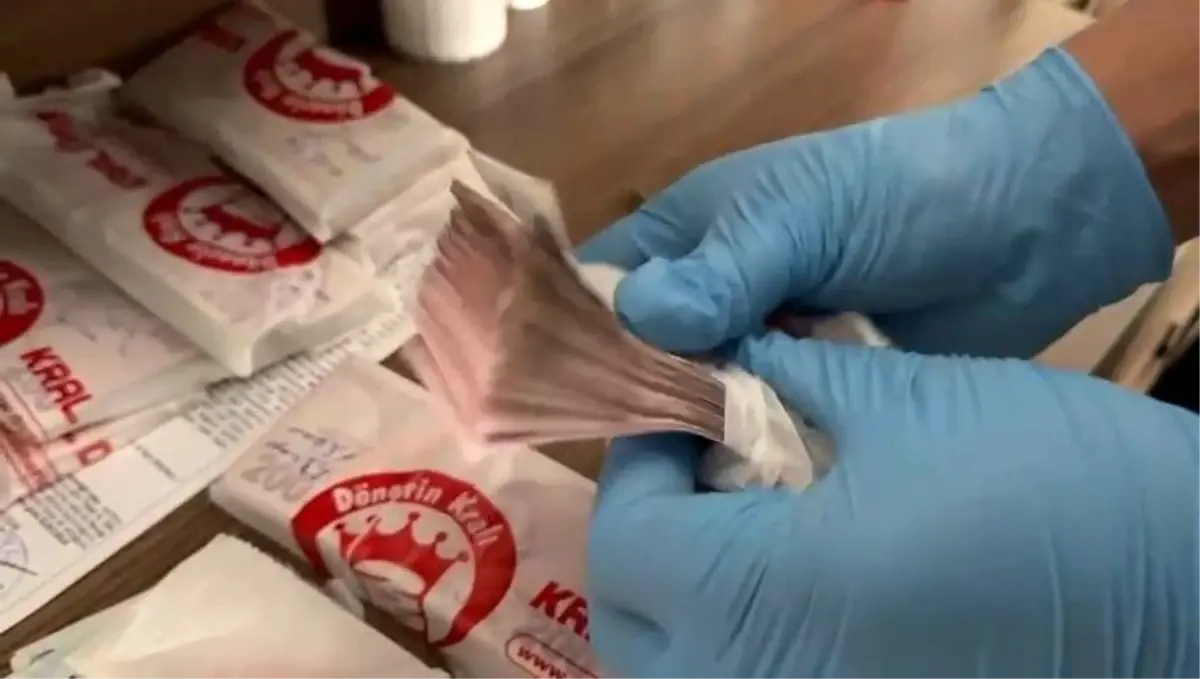 FETÖ Operasyonunda 24 Gözaltı