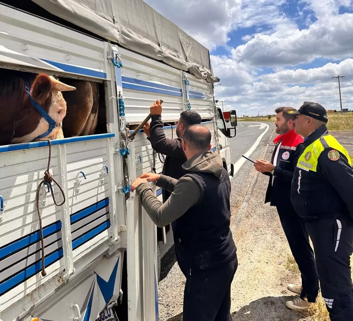Kaçak Hayvan Getiren Besiciye 105 Bin Lira Ceza