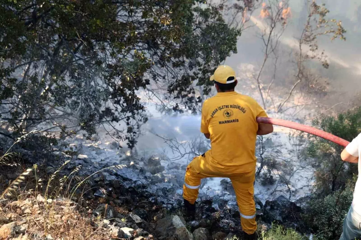 Marmaris\'te Orman Yangını Kontrol Altına Alındı