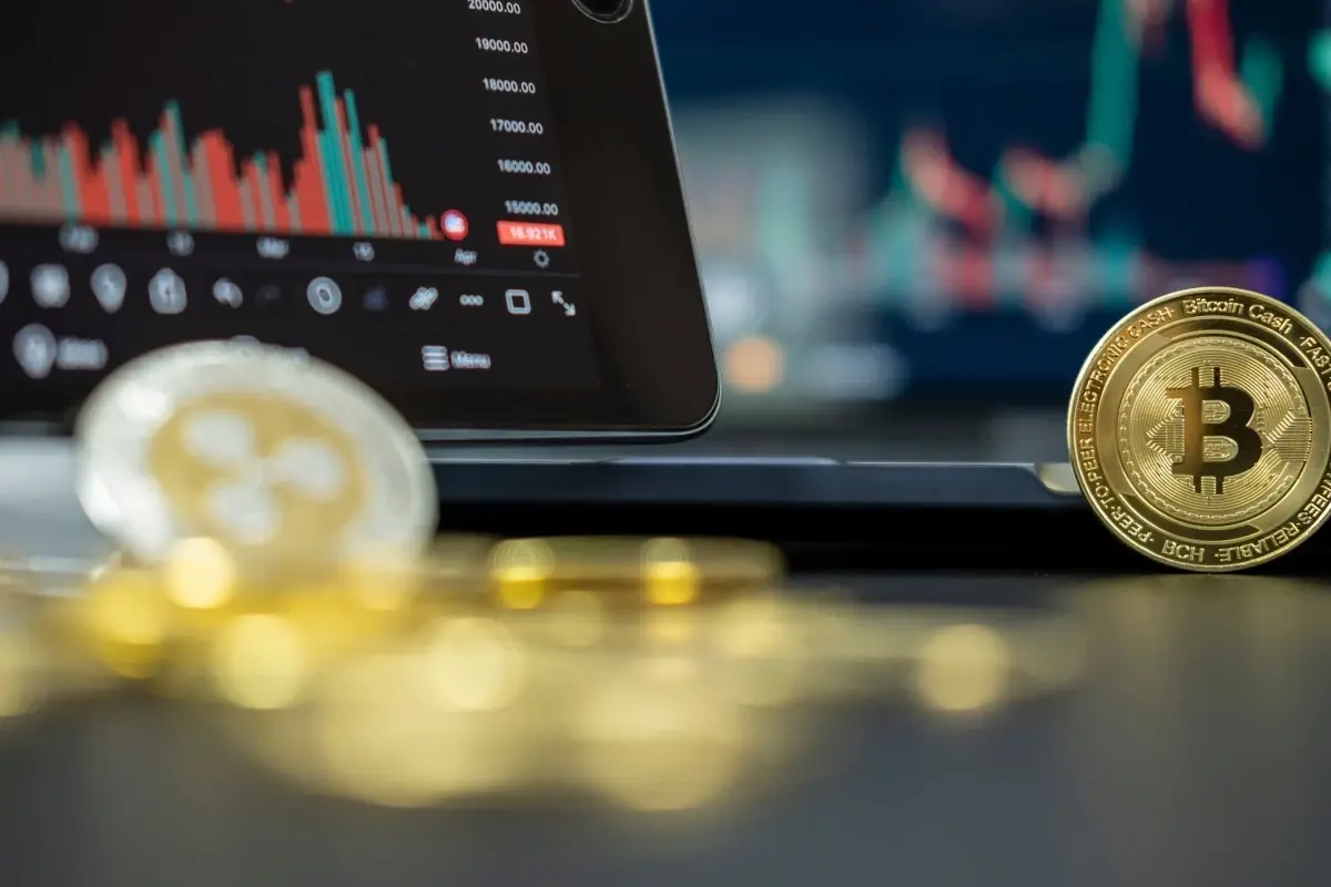 Cetus saldırısı mağdurlarının kayıplarını telafi edecek oylama başladı