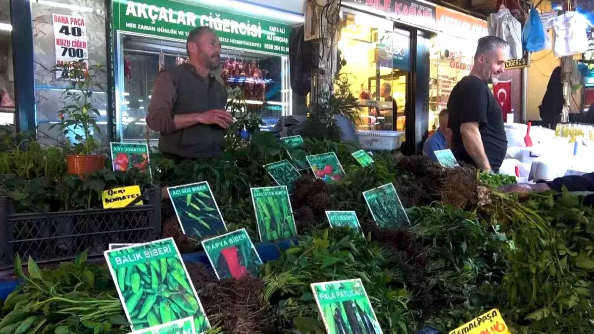 Fide Tezgahları Canlandı