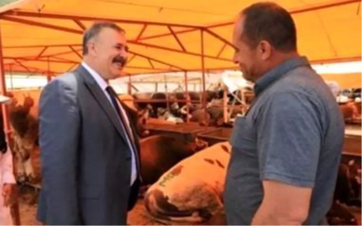 Trabzon\'da Kurban Bayramı Hazırlıkları Başladı