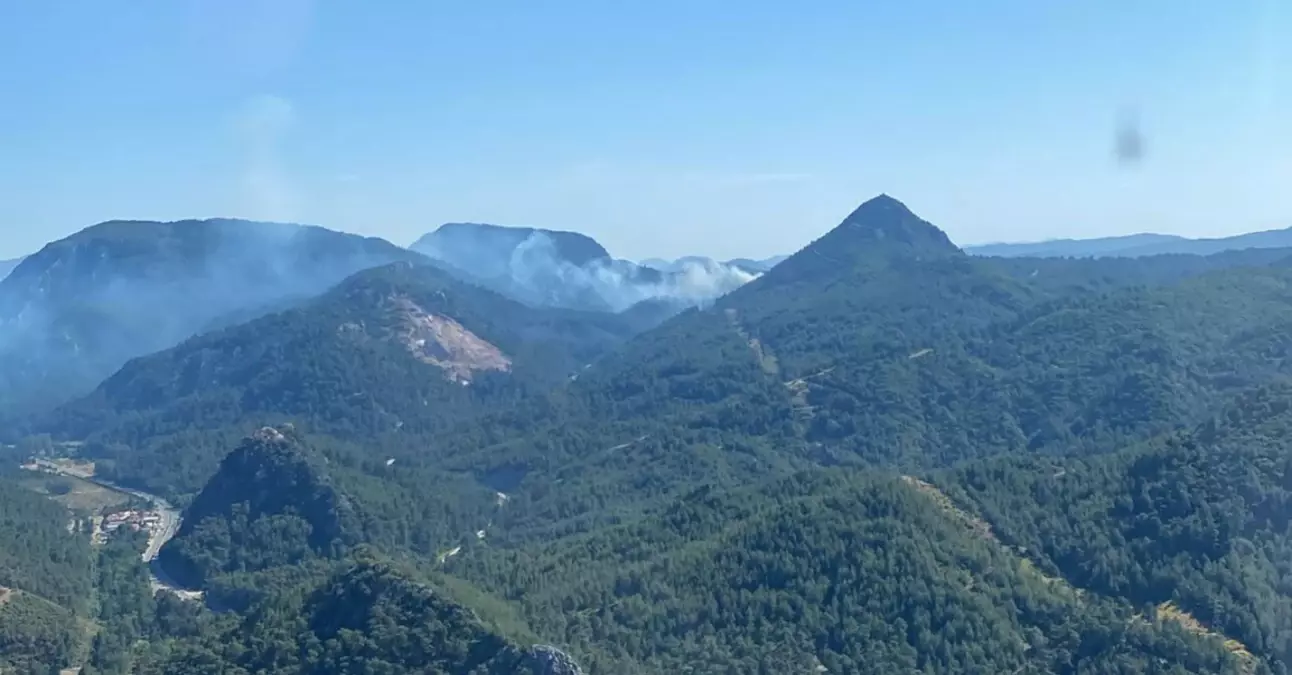 Marmaris\'te Orman Yangını