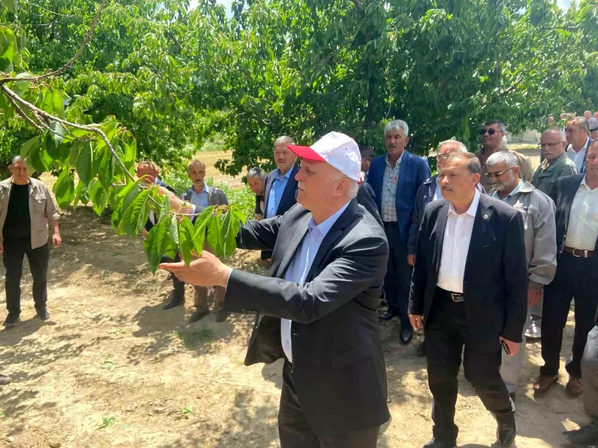Tarım Sektöründe Don Felaketi Uyarısı