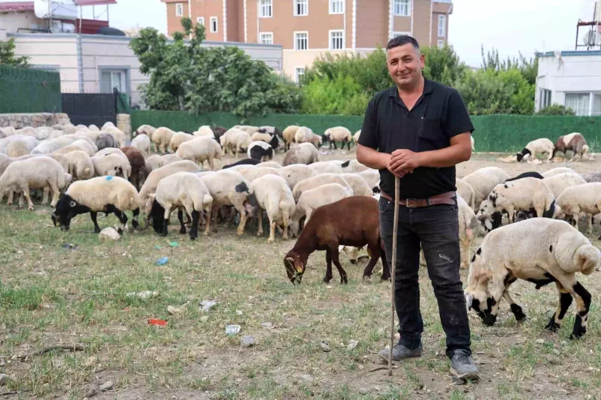 Hatay\'da Kurban Bayramı Yoğunluğu