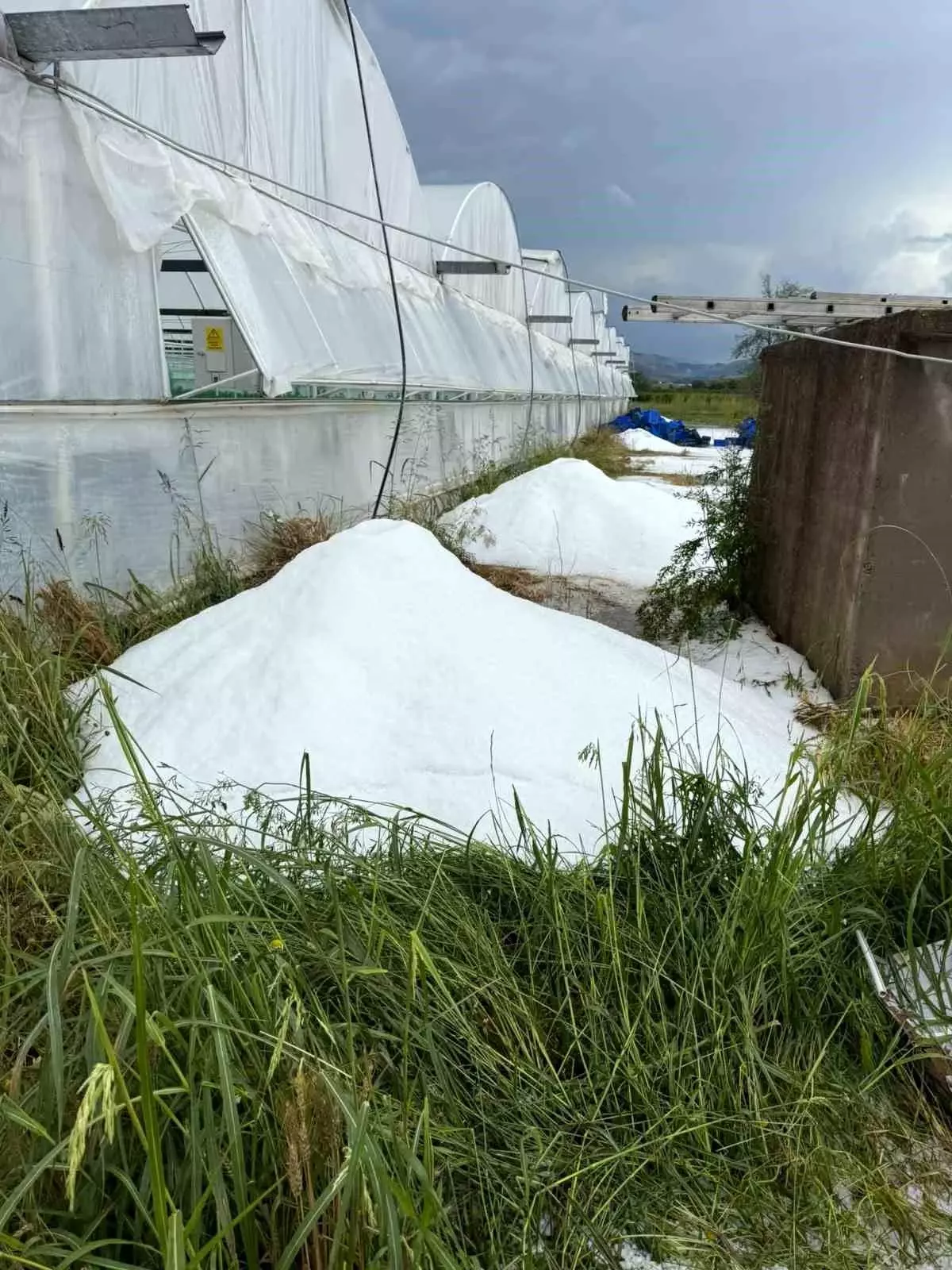 Antalya\'da Şiddetli Sağanak ve Dolu Tarımı Vurdu