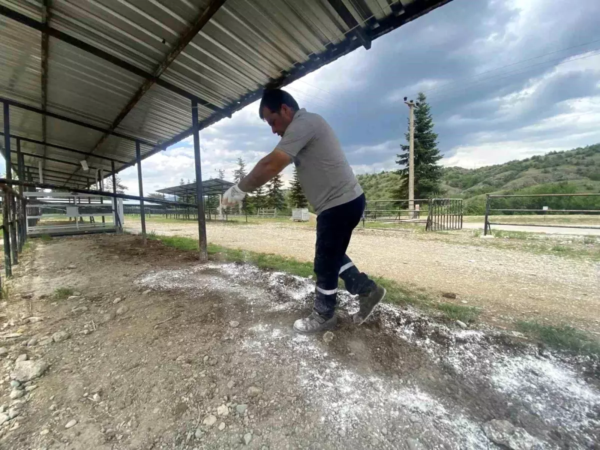 Taşköprü Belediyesi Kurban Bayramı İçin Hazırlıklarını Tamamladı