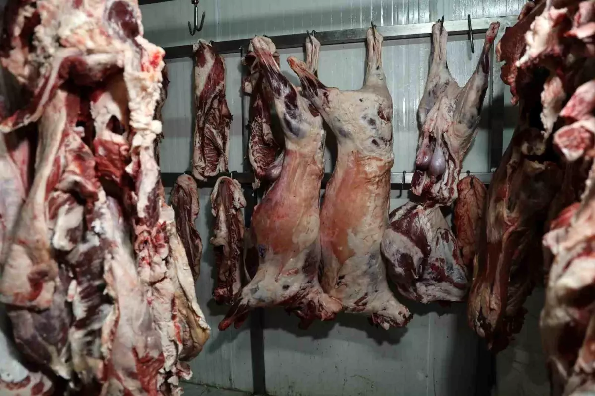 Adana\'da Et Skandalı: Denetimler Artmalı