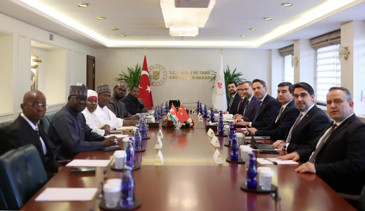 Türkiye ve Nijer\'den Enerji Ortaklığı